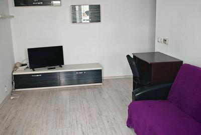 Apartament cu 2 camere semidecomandat în Banat - 6