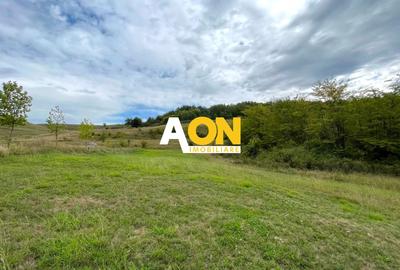 Teren Construcții intravilan de 4200 mp, în Ciugud - 2