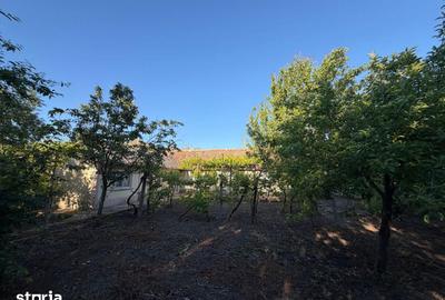 Casă cu 6 camere nedecomandat cu Teren 1600 Mp în Greci - 7