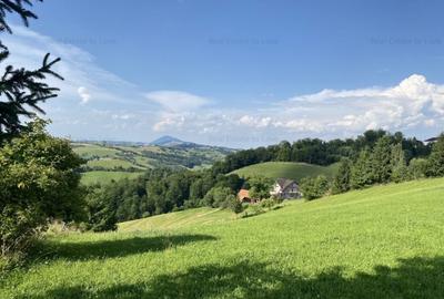 Teren de 3901 mp, în Central - 15