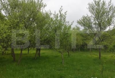 Teren în Brănișca - 2