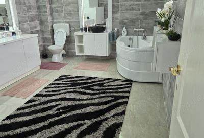 Vand proprietate curte cu 2 imobile - 3