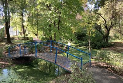 Casă individuală cu 4 camere cu Teren 150 Mp în Tei - 9