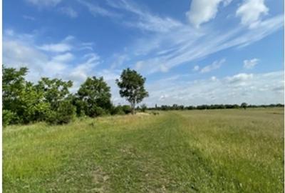 Teren Construcții intravilan de 906 mp, în Sânleani - 4