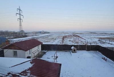 Casă cu 5 camere decomandat cu Teren 7200 Mp în Probota - 4