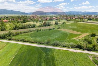Teren agricol extravilan de 25100 mp, în Prejmer - 18