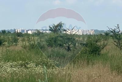 DE VANZARE Teren 5,000mp Sisesti Drumul Piscul Mosului - 24
