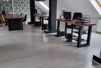 Spatii de Birou la Cheie - 2