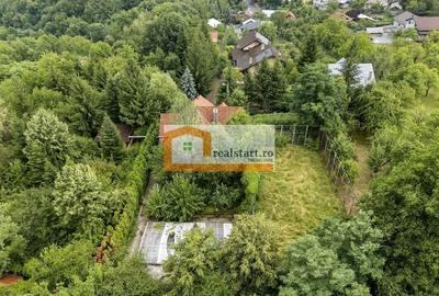 Vedere directa la Padure, 9000mp teren, Vila D+P+1E+M, semineu, foisor - 48