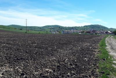 Teren de vanzare | 23.300mp | Gusterita - Oportunitate de investitie - 3