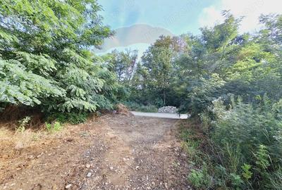 Teren de 3219 mp, în Hidiș - 5