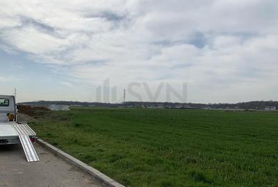 Teren Magurele - 27507 mp - Acces Dublu - Proximitate A0 Teren Magurele - 27507 mp - Acces Dublu - Proximitate A0 - 8