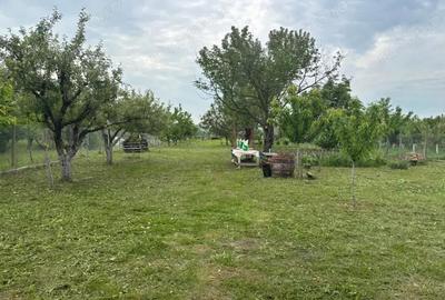 Teren intravilan, pe dealuri, in ORADEA - 2