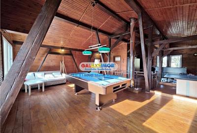 Casa individuala (P+1+M), Balotesti, Martha Bibescu - 21