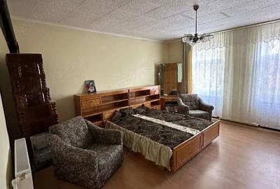 Casă cu 3 camere cu Teren 3000 Mp în Jamu Mare - 4