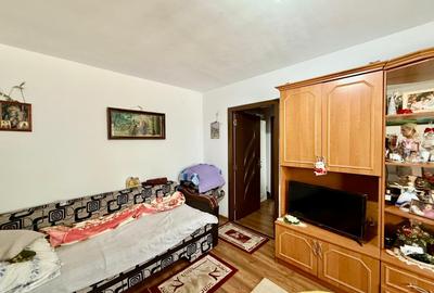 Apartament cu 2 camere semidecomandat în Gojdu - 13