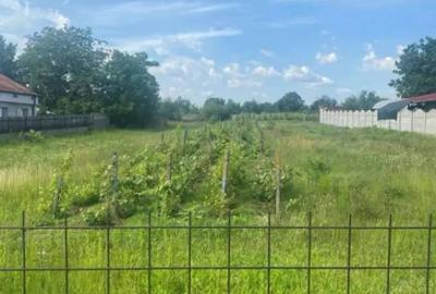 Teren de 2500 mp, în Cârcea - 1