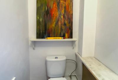 Popa Nan – Pache Protopopescu • Vilă P+1+M, curte proprie, 180mp - 12