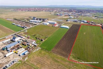 Teren agricol extravilan de 20000 mp, în Sânleani - 2
