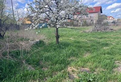 Teren Construcții intravilan de 2098 mp, în Beregsău Mare - 3