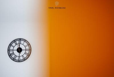 Duplex modern, parter, in Remetea Mare - mobilat complet, 3 camere Duplex modern, parter, in Remetea Mare - mobilat complet, 3 camere - 41