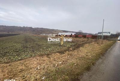 Spațiu comercial, în Căciulești