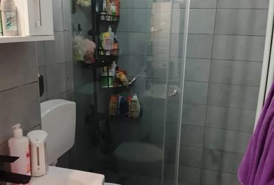 Apartament cu 3 camere decomandat în Pajura - 13