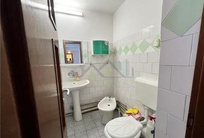 Apartament 4 camere structura mare Scriitorilor - 12