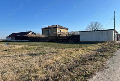 Gradistea -Ilfov, strada Nuferilor, teren intravilan 1000 mp 15m. - 2