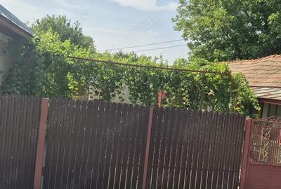 Casa cu spatiu comercial si livada de vanzare - Crangu - Teleorman - 3