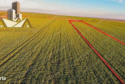 Spațiu comercial, în Giarmata - 2