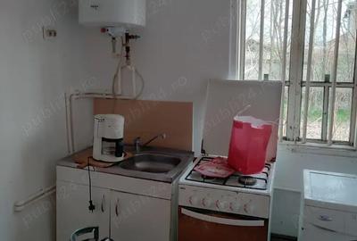 Casă cu 3 camere cu Teren 3780 Mp în Lădești - 7