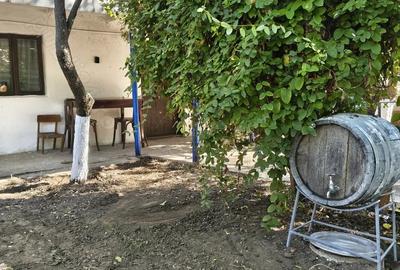 Casa locuibila in judetul buzau - 8