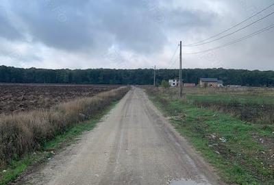 Teren de 800 mp, în Nord - 3