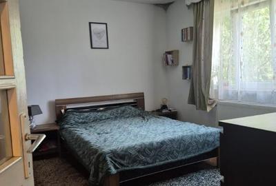 Baia Sprie, casa cu etaj ,10 ari teren - 5