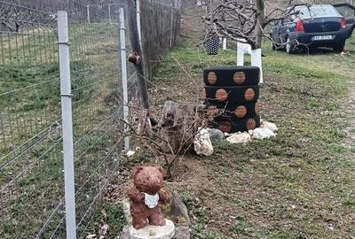 Casă cu 3 camere cu Teren 2800 Mp în Central - 3