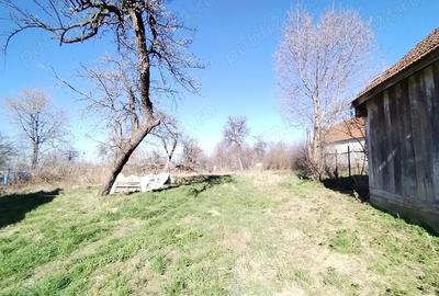 Casa tradi?ionala cu 2 corpuri, grajd, ?ura ?i 1200 mp teren Lisa, Bra?ov ideal turism rural - 4