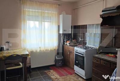 Casă cu 2 camere cu Teren 252 Mp în Botizului - 7