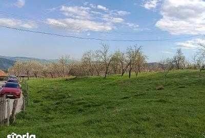 Teren de 2000 mp, în Sud - 3