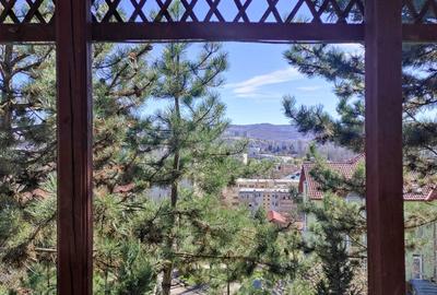 Garsonieră în Grigorescu