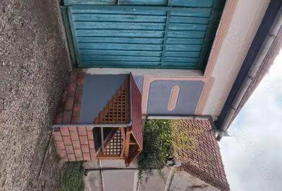 Casă cu 4 camere cu Teren 1900 Mp în Cladova - 2
