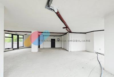 Spațiu comercial, de 166.19999694824 mp, în Iris