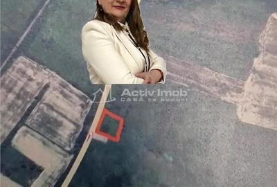 Teren de 1500 mp, în Sud - 3