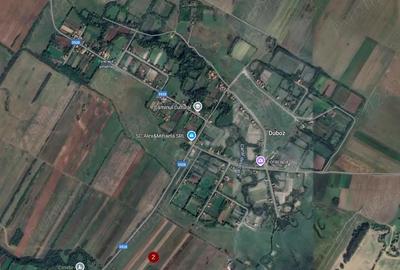 Teren în Duboz - 3