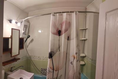 Inchiriere apartament 2 camere, zona parc Brancoveanu - 4