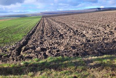 Teren agricol extravilan de 3678 mp, în Mitocu Dragomirnei - 4