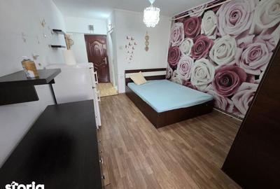 Garsonieră în Alexandru cel Bun - 5