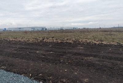 Teren de 4310 mp, în Ghiroda - 2