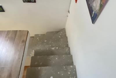 De vanzare casa individuala cu teren Gruiu , Calarasi ,Budesti - 25