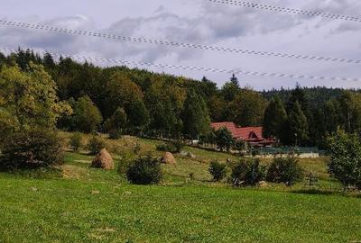Teren intravilan situat in Traisteni - 8